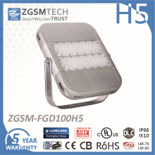 Luz de inundación al aire libre IP66 de 100W DMX RGB LED